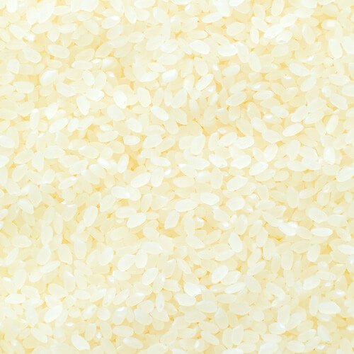 あおもり米の主な銘柄 まっしぐら お米